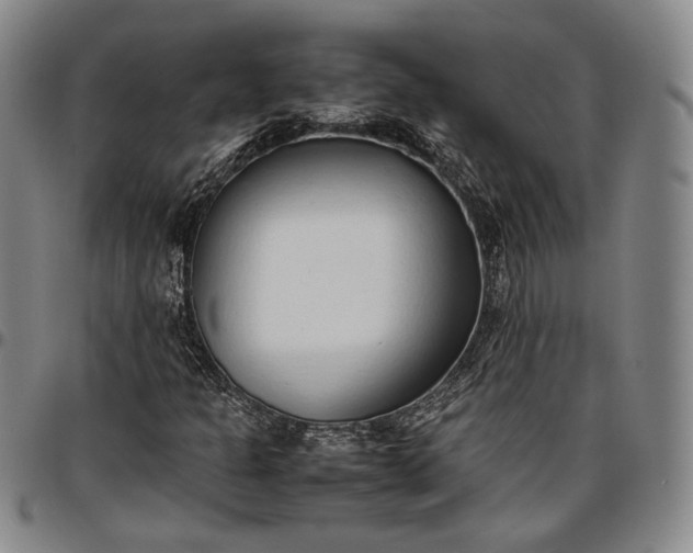 X0000096651301200802191233
