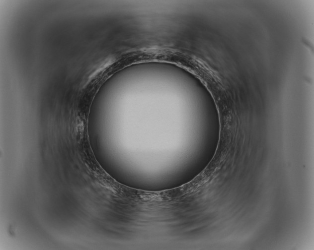 X0000096651302200802191233