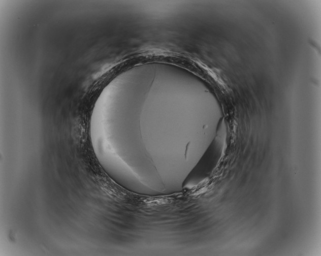 X0000096651303200802191233