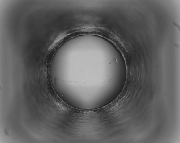 X0000096651304200802191233