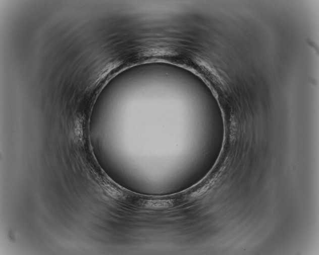 X0000096651305200802191233