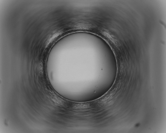 X0000096651307200802191233