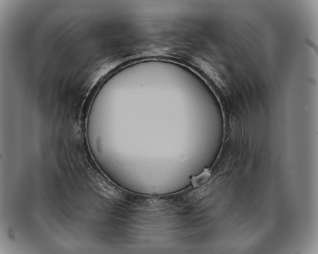 X0000096651308200802191233