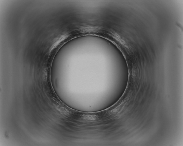 X0000096651309200802191233