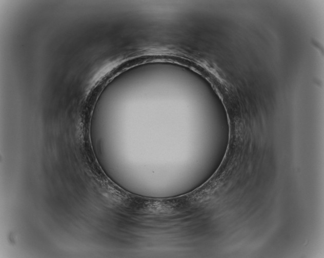 X0000096651311200802191233