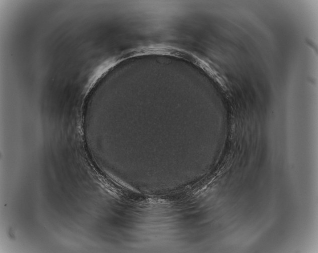 X0000096651312200802191233