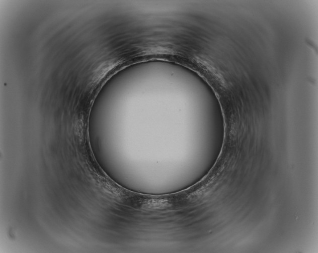 X0000096651313200802191233