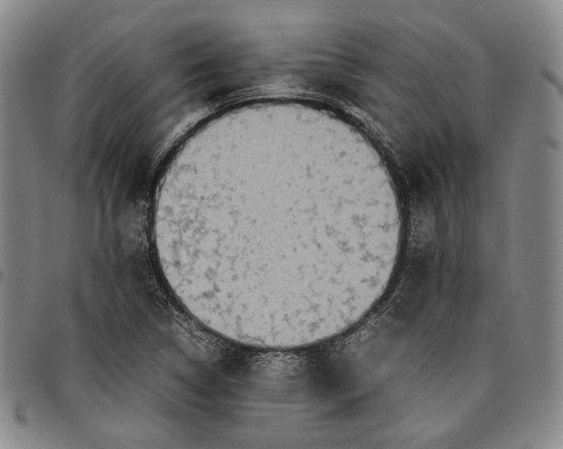 X0000096651314200802191233
