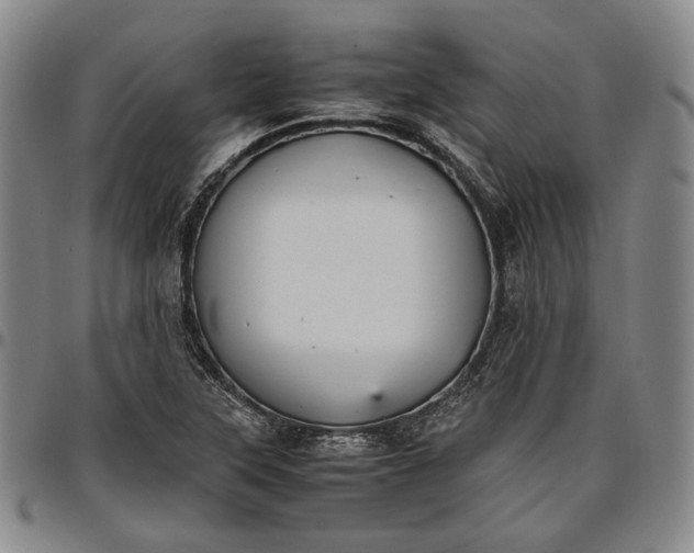 X0000096651315200802191233