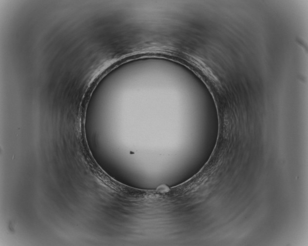 X0000096651316200802191233
