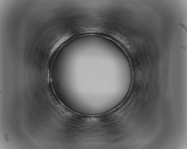 X0000096651317200802191233