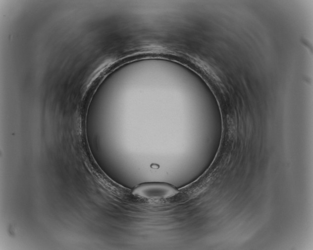 X0000096651318200802191233