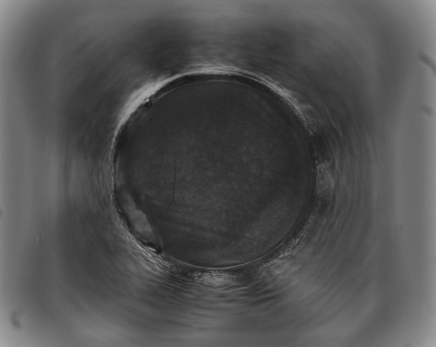 X0000096651319200802191233