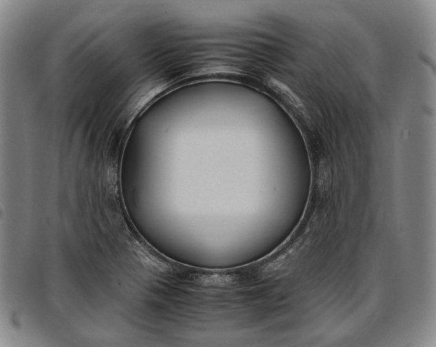 X0000096651321200802191233