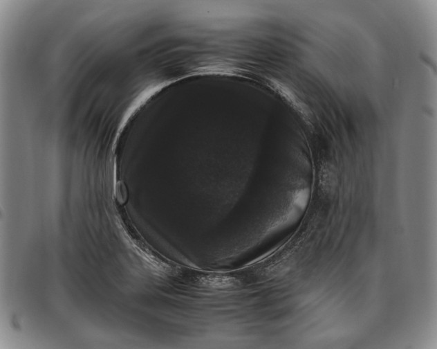 X0000096651323200802191233