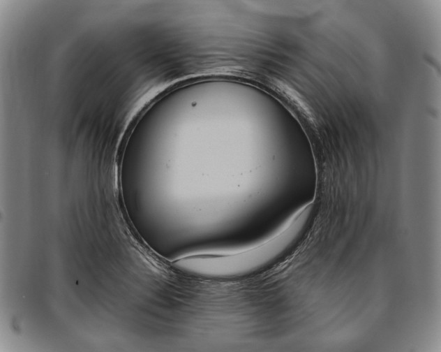 X0000096651324200802191233