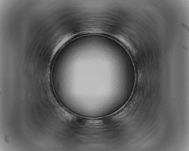 X0000096651325200802191233
