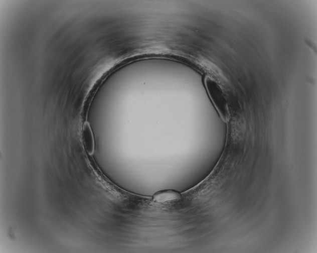 X0000096651326200802191233