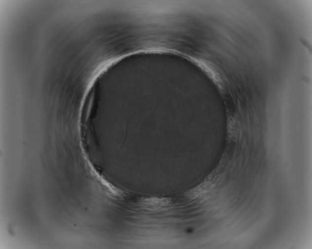 X0000096651327200802191233