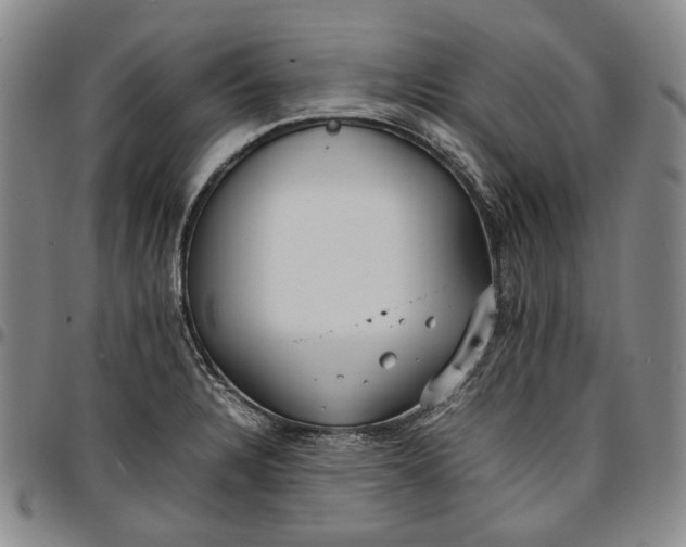 X0000096651328200802191233