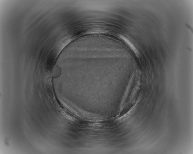 X0000096651329200802191233