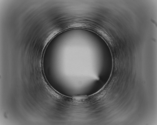 X0000096651330200802191233