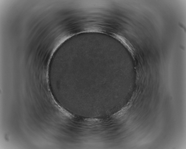 X0000096651331200802191233