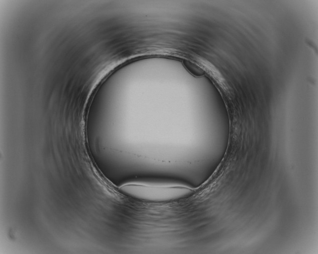 X0000096651332200802191233