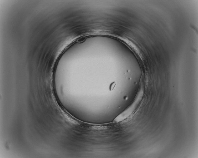 X0000096651333200802191233