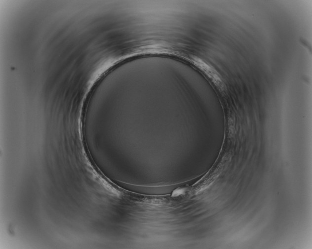 X0000096651334200802191233
