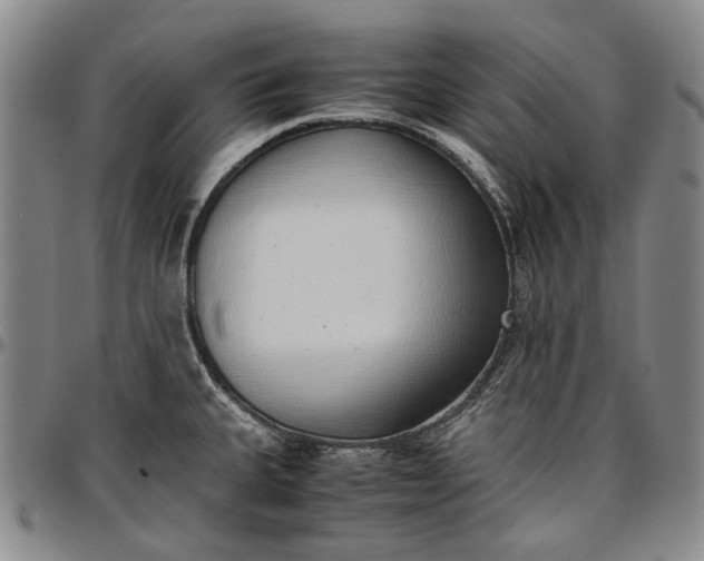 X0000096651335200802191233