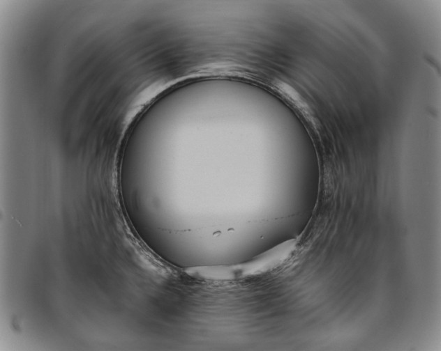 X0000096651336200802191233