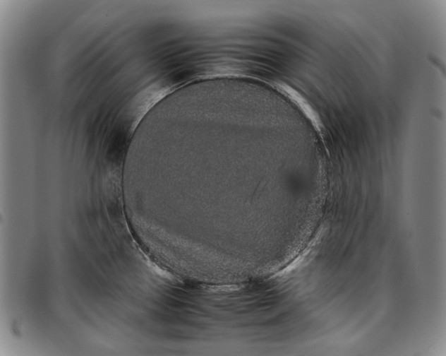 X0000096651337200802191233