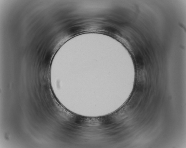 X0000096651338200802191233