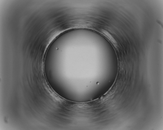 X0000096651340200802191234