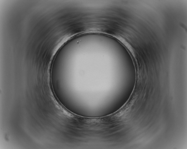 X0000096651341200802191234