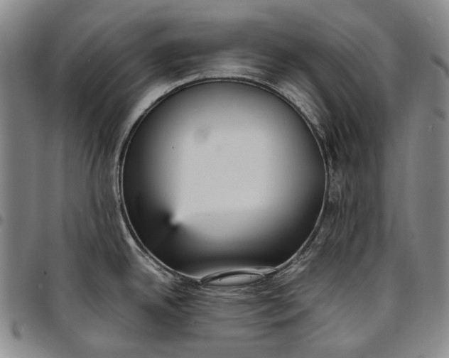 X0000096651342200802191234