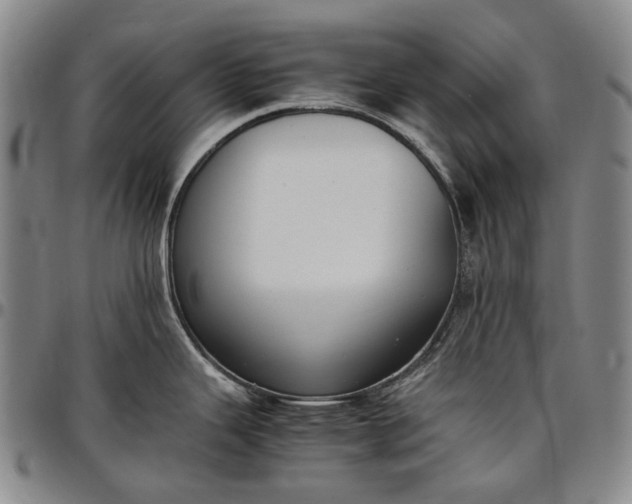 X0000096651343200802191234