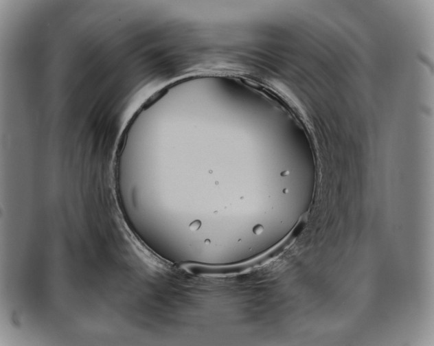 X0000096651344200802191234