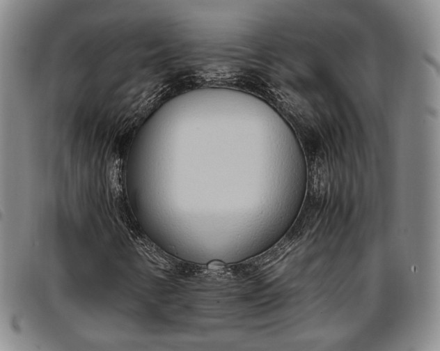 X0000096651346200802191233