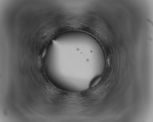 X0000096651347200802191233