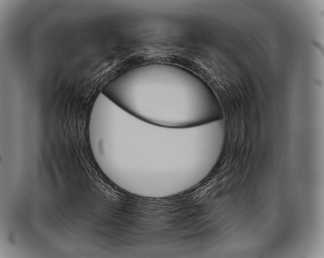 X0000096651348200802191233