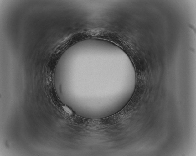 X0000096651349200802191233