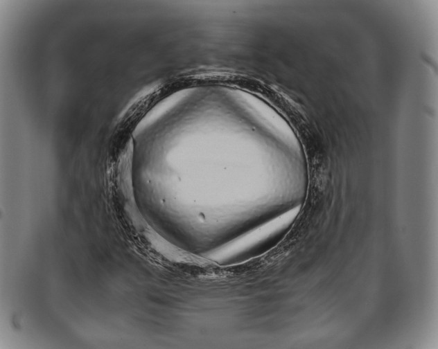 X0000096651351200802191233