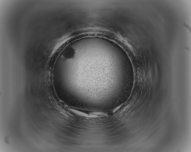 X0000096651352200802191233