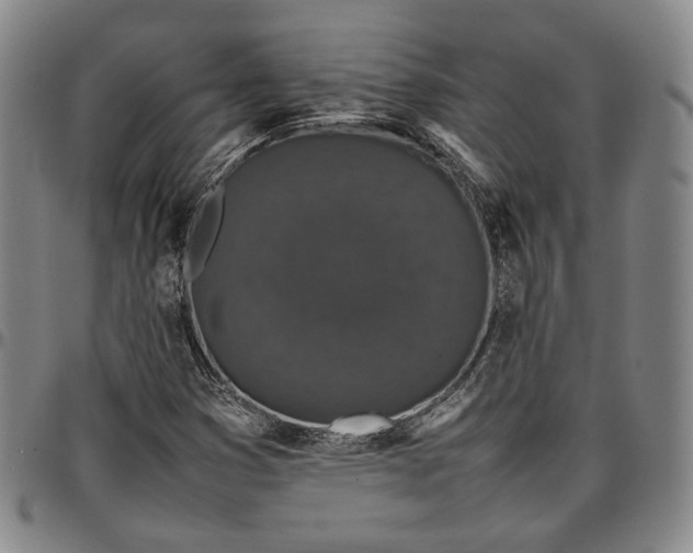 X0000096651353200802191233
