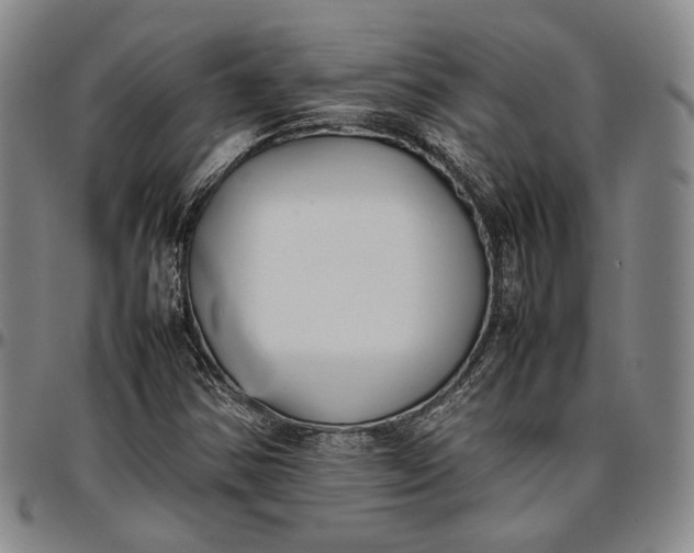 X0000096651354200802191233