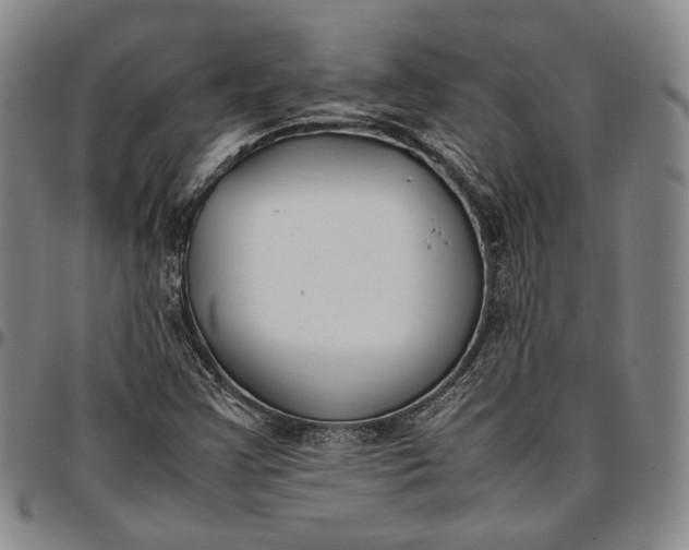 X0000096651355200802191233