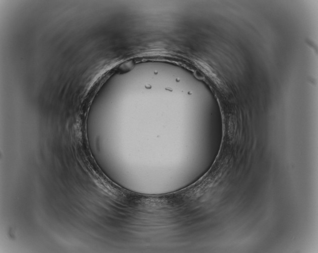 X0000096651356200802191233