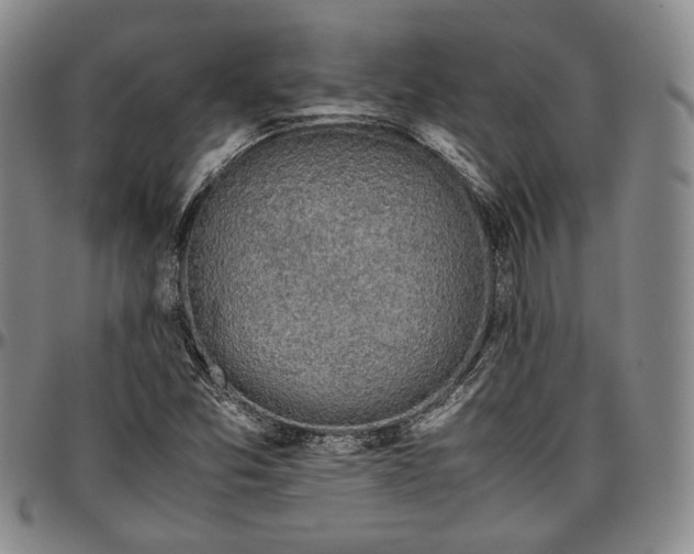 X0000096651357200802191233